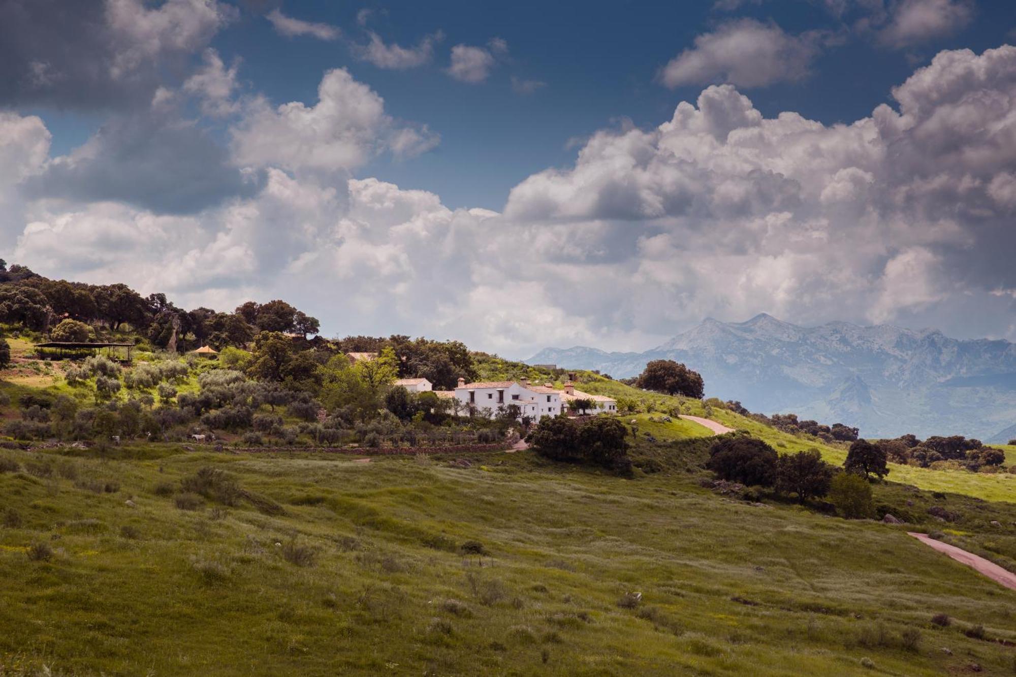 La Donaira ξενώνας Montecorto Εξωτερικό φωτογραφία