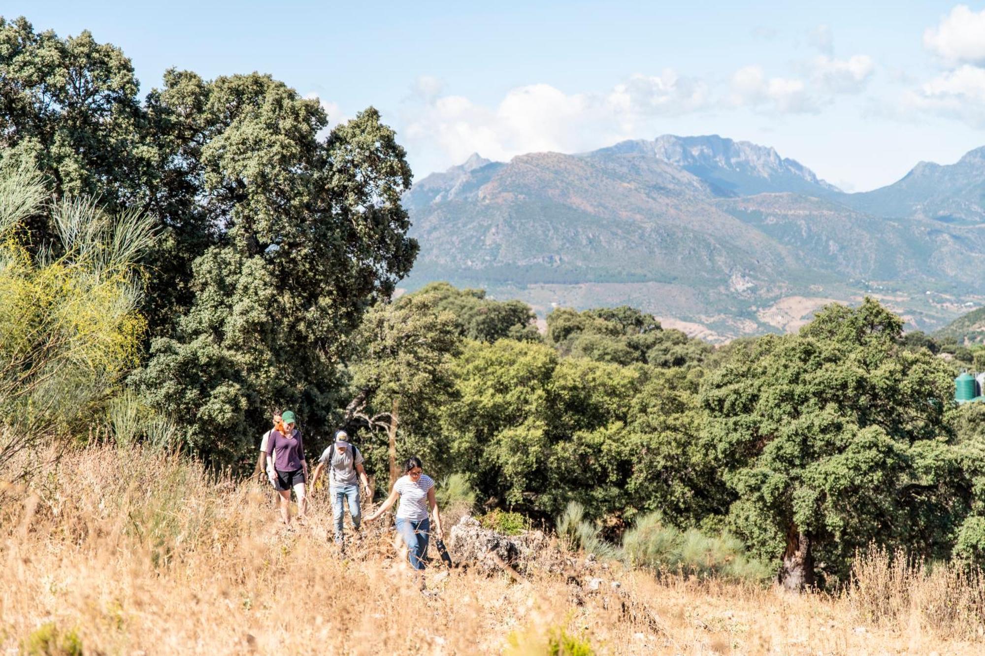 La Donaira ξενώνας Montecorto Εξωτερικό φωτογραφία