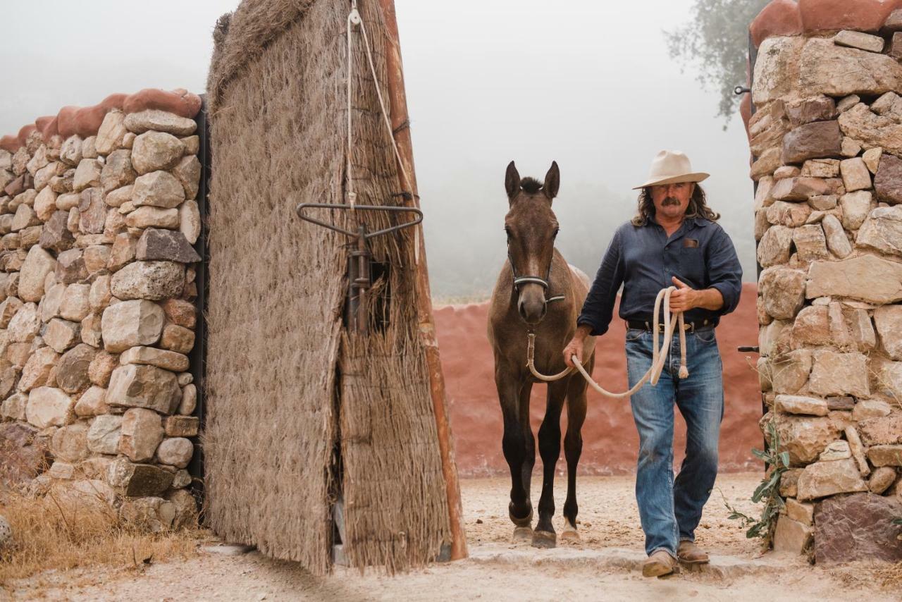 La Donaira ξενώνας Montecorto Εξωτερικό φωτογραφία