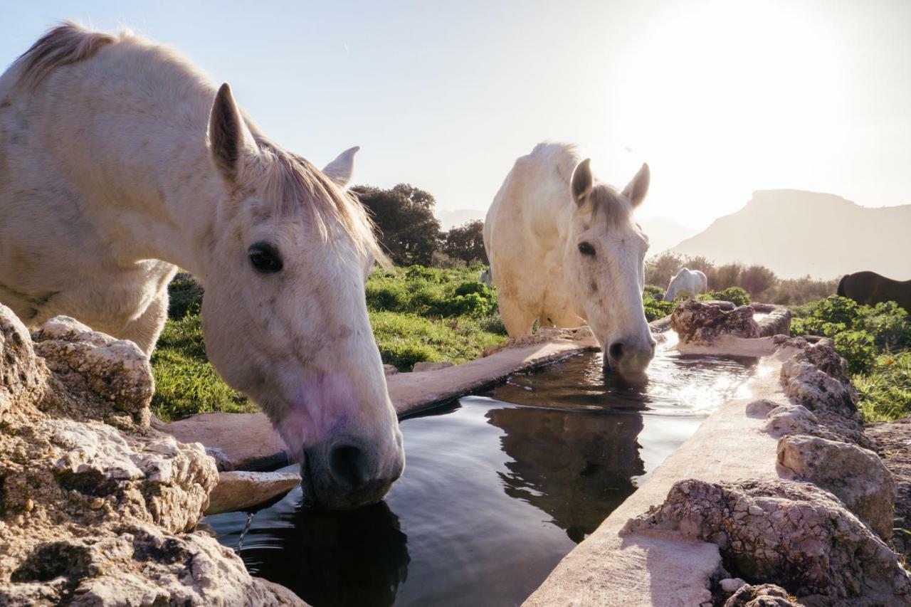 La Donaira ξενώνας Montecorto Εξωτερικό φωτογραφία