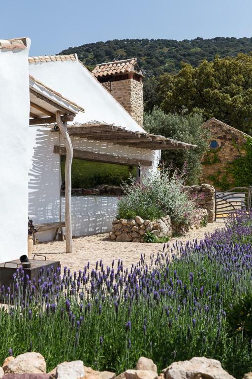 La Donaira ξενώνας Montecorto Εξωτερικό φωτογραφία